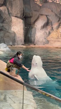 名古屋港水族館に投稿された画像（2024/2/25）