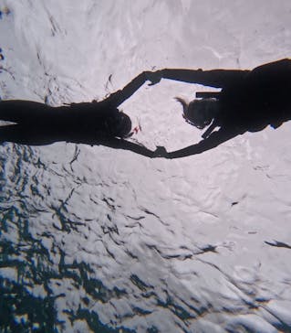 宮古島 ADVENTURE PiPi（ミヤコジマ アドベンチャー ピピ）に投稿された画像（2024/2/25）