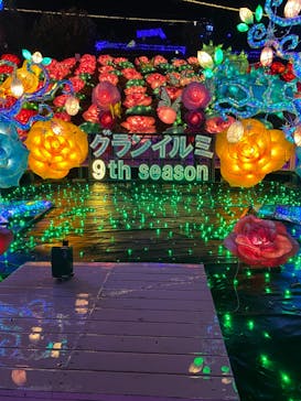 伊豆ぐらんぱる公園に投稿された画像（2024/2/25）