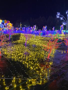 伊豆ぐらんぱる公園に投稿された画像（2024/2/25）