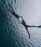 宮古島 ADVENTURE PiPi（ミヤコジマ アドベンチャー ピピ）に投稿された画像（2024/2/25）