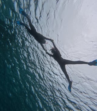 宮古島 ADVENTURE PiPi（ミヤコジマ アドベンチャー ピピ）に投稿された画像（2024/2/25）