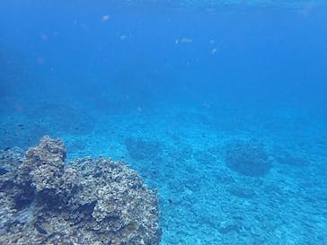 石垣島 ADVENTURE PiPi（イシガキジマアドベンチャーピピ）に投稿された画像（2024/2/25）