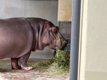 恩賜上野動物園に投稿された画像（2024/2/25）