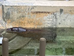 恩賜上野動物園に投稿された画像（2024/2/25）