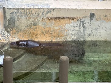 恩賜上野動物園に投稿された画像（2024/2/25）