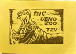 恩賜上野動物園に投稿された画像（2024/2/25）