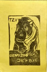 恩賜上野動物園に投稿された画像（2024/2/25）