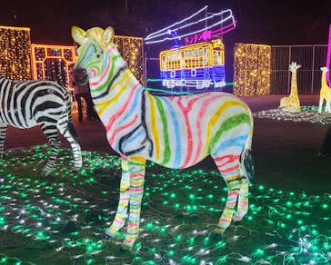 大阪城イルミナージュに投稿された画像（2024/2/25）