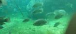 天王寺動物園に投稿された画像（2024/2/26）