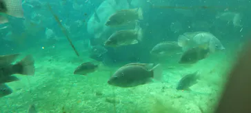 天王寺動物園に投稿された画像（2024/2/25）