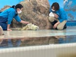 しながわ水族館に投稿された画像（2024/2/26）