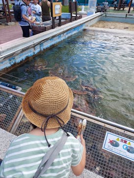 南知多ビーチランド＆南知多おもちゃ王国に投稿された画像（2024/2/25）