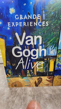 ゴッホ・アライブに投稿された画像（2024/2/25）