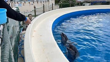 沖縄美ら海水族館（館内体験）に投稿された画像（2024/2/25）