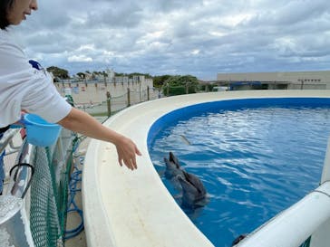 沖縄美ら海水族館（館内体験）に投稿された画像（2024/2/25）