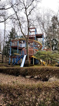 修善寺虹の郷に投稿された画像（2024/2/25）