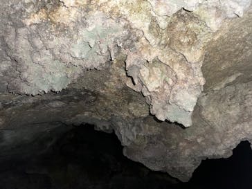 石垣島 ADVENTURE PiPi（イシガキジマアドベンチャーピピ）に投稿された画像（2024/2/25）