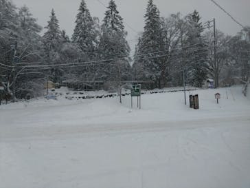 白樺湖ロイヤルヒルに投稿された画像（2024/2/25）