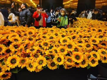 ゴッホ・アライブに投稿された画像（2024/2/25）