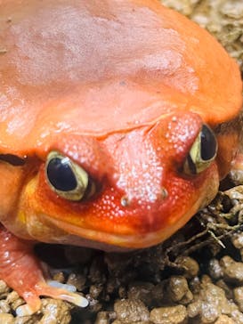 サンシャイン水族館に投稿された画像（2024/2/25）