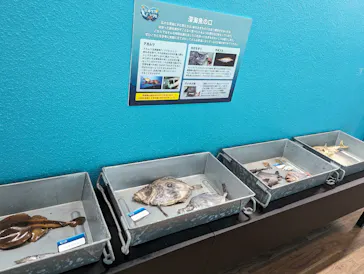 横浜・八景島シーパラダイスに投稿された画像（2024/2/26）