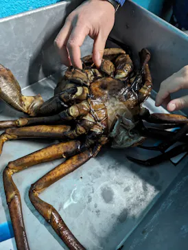 横浜・八景島シーパラダイスに投稿された画像（2024/2/26）