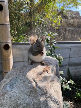 神戸どうぶつ王国に投稿された画像（2024/2/26）