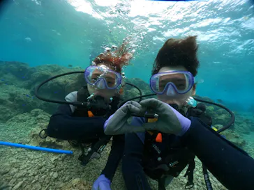 武藤潜水に投稿された画像（2024/2/26）