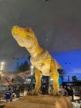 福井県立恐竜博物館に投稿された画像（2024/2/26）