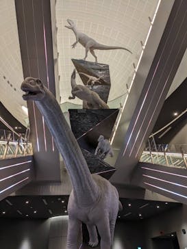 福井県立恐竜博物館に投稿された画像（2024/2/26）