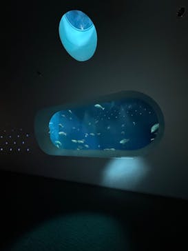 大分マリーンパレス水族館 「うみたまご」に投稿された画像（2024/2/26）