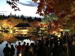 国営昭和記念公園 秋の夜散歩に投稿された画像（2024/2/26）