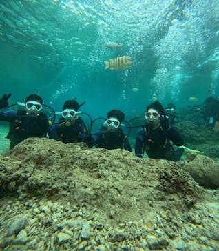 沖縄マリンサービス碧に投稿された画像（2024/2/26）