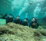 沖縄マリンサービス碧に投稿された画像（2024/2/26）