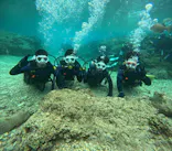 沖縄マリンサービス碧に投稿された画像（2024/2/26）