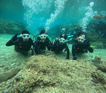 沖縄マリンサービス碧に投稿された画像（2024/2/26）