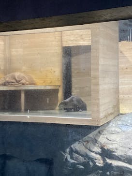 アクアワールド茨城県大洗水族館に投稿された画像（2024/2/26）