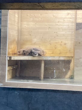 アクアワールド茨城県大洗水族館に投稿された画像（2024/2/26）