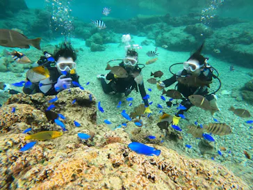 武藤潜水に投稿された画像（2024/2/26）