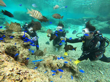 武藤潜水に投稿された画像（2024/2/26）