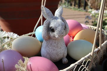 横浜イングリッシュガーデンに投稿された画像（2024/2/26）