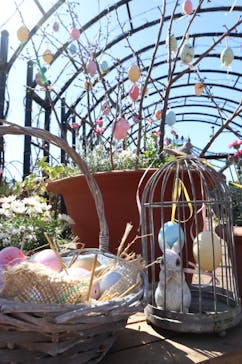 横浜イングリッシュガーデンに投稿された画像（2024/2/26）