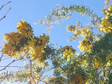 横浜イングリッシュガーデンに投稿された画像（2024/2/26）