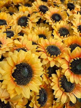 ゴッホ・アライブに投稿された画像（2024/2/26）