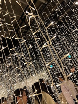 ゴッホ・アライブに投稿された画像（2024/2/26）