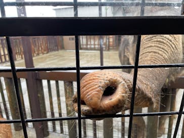 那須サファリパークに投稿された画像（2024/2/26）