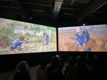 ゴッホ・アライブに投稿された画像（2024/2/26）