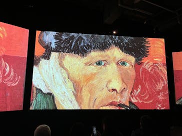 ゴッホ・アライブに投稿された画像（2024/2/26）