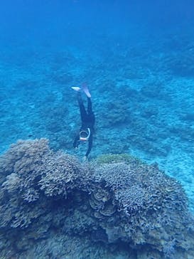 石垣島 ADVENTURE PiPi（イシガキジマアドベンチャーピピ）に投稿された画像（2024/2/26）